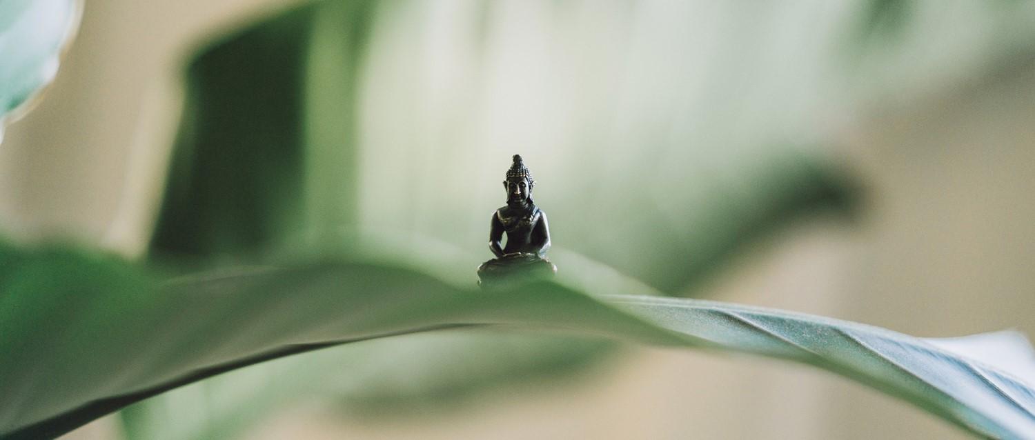Featured article image