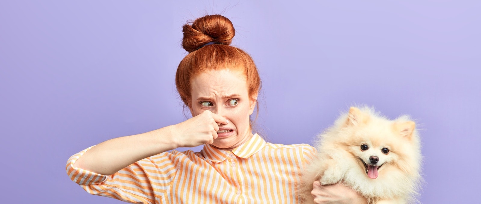 angry frustrated girl closing her nose with fingers, holding stinky dog. close up portrait, isolated blue background