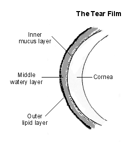 tear film