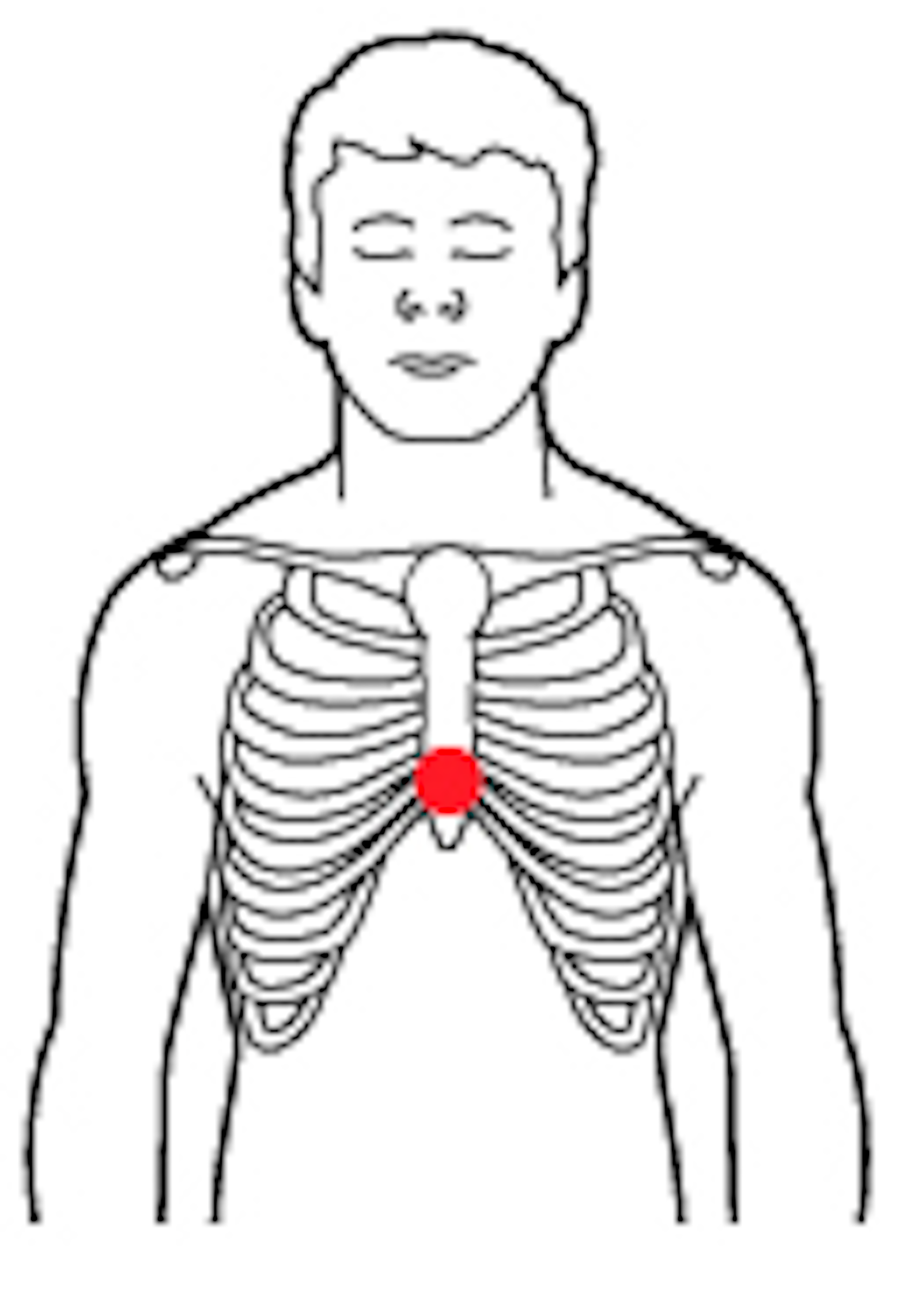 CPR finger position adult