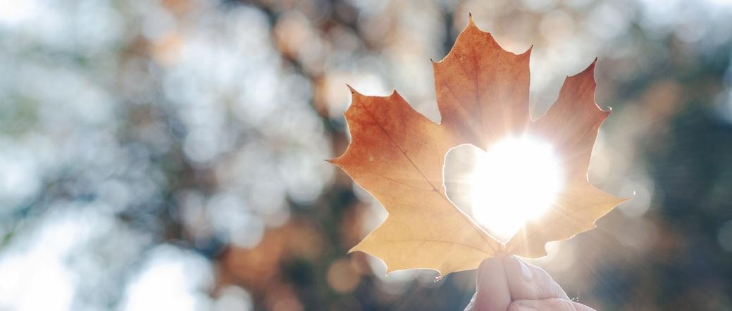 Orange autumn maple leaf with heart-shaped cutout held up against sunlight, creating a glowing effect.