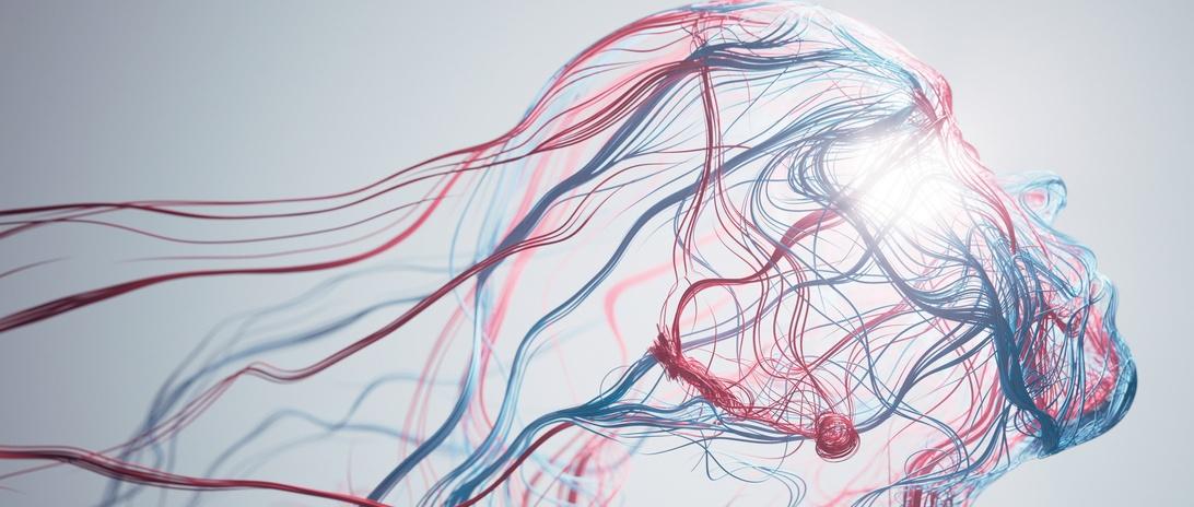 Abstract artistic illustration of flowing red and blue lines forming a profile silhouette against a light background.