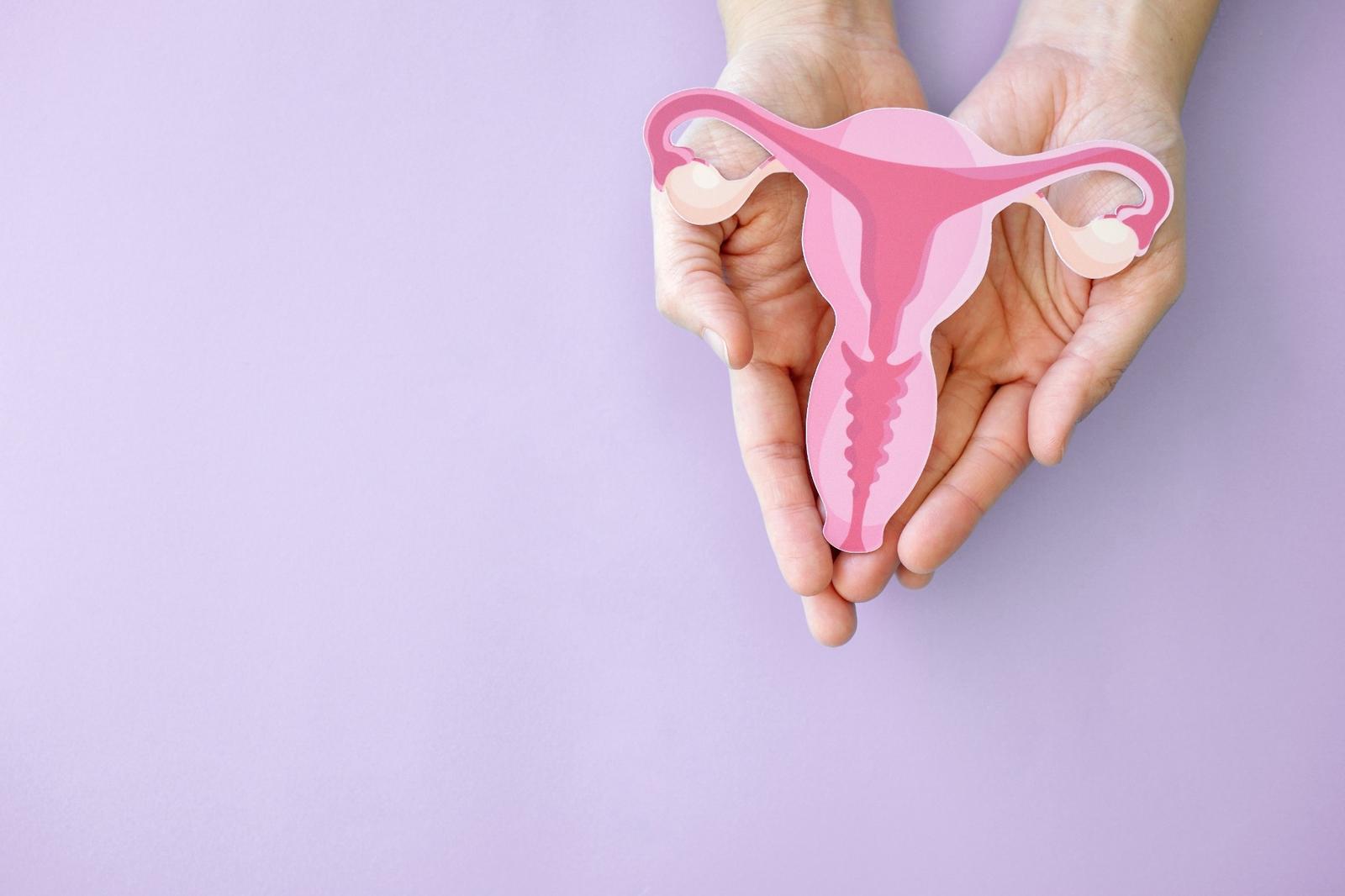 Hands holding an illustration of the female reproductive system, symbolising gynaecological health or awareness of gynaecological cancers, on a light green background.