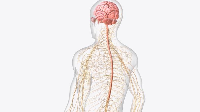 Motor neurone disease