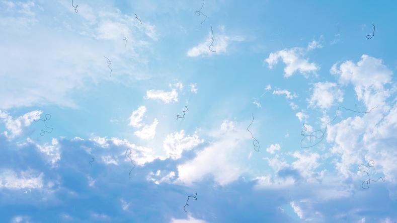 Floaters