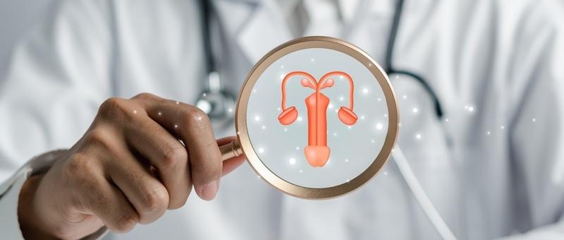 Medical professional holding magnifying glass showing illustration of female reproductive system with uterus and ovaries.
