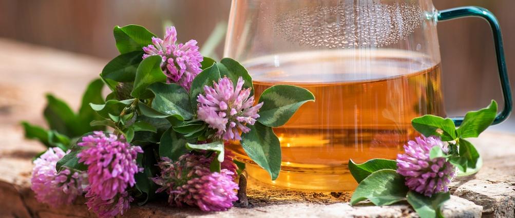 Cup of tea with red clover flower on a wooden table.