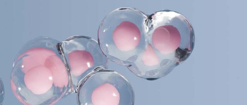 Pink peptide molecules in motion on grey background.
