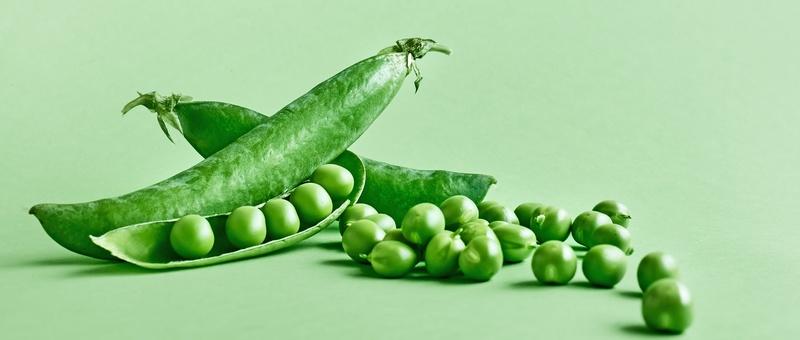 Featured article image