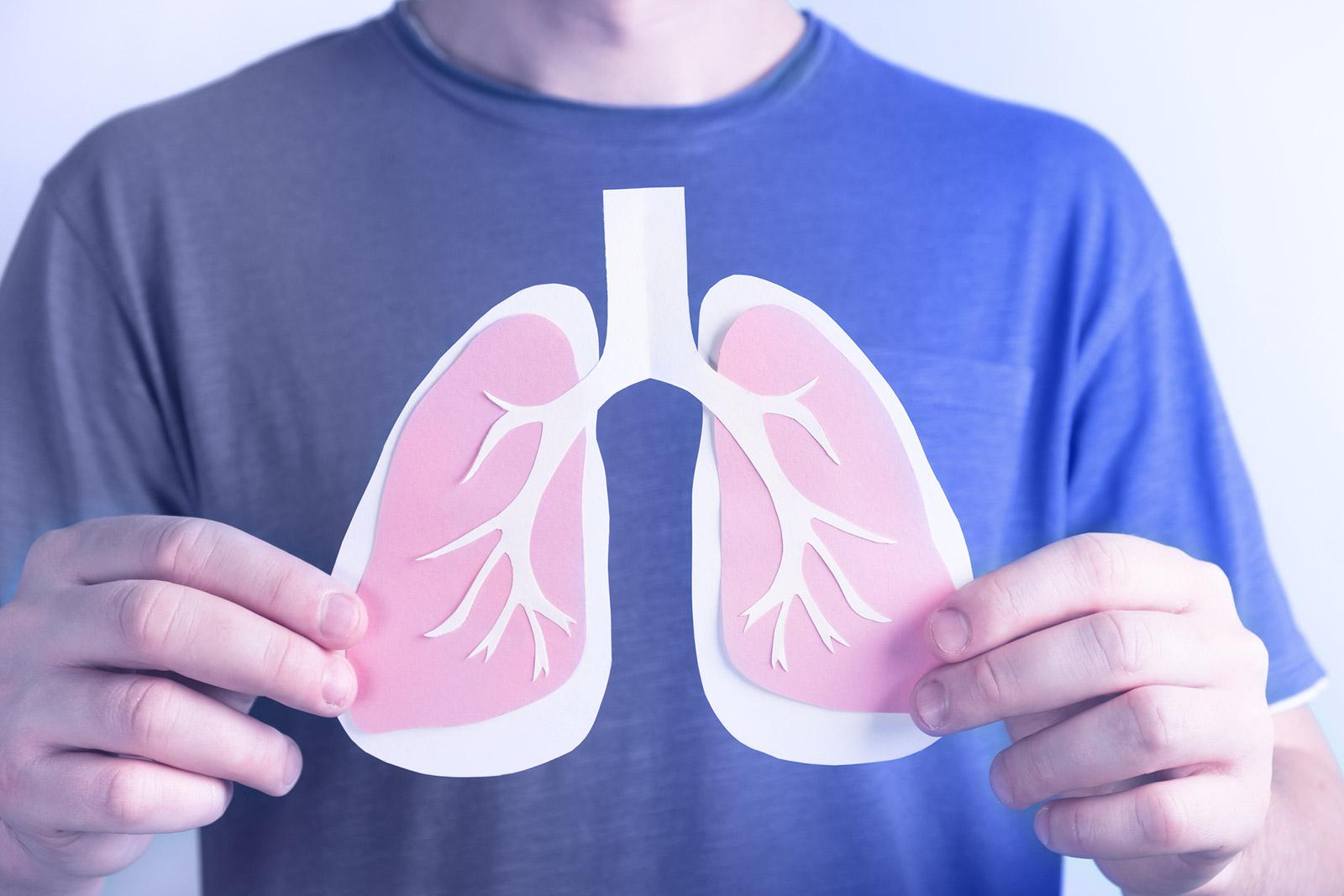 chest lungs