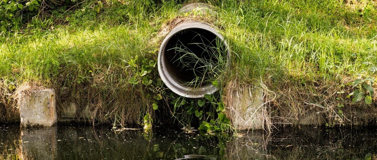 Water pollution