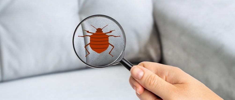 Featured article image