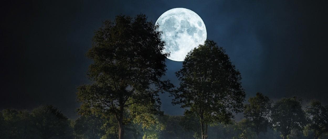 Full moon