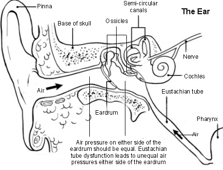 Eustachian tube dysfunction
