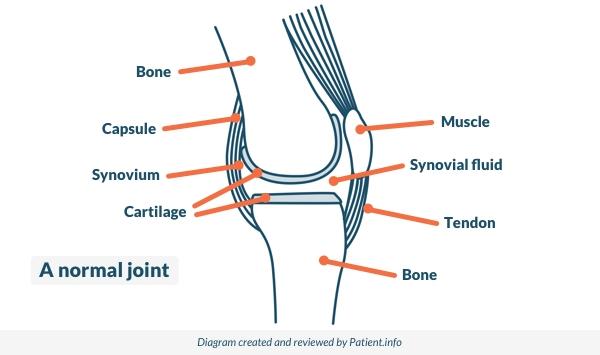 Normal joint