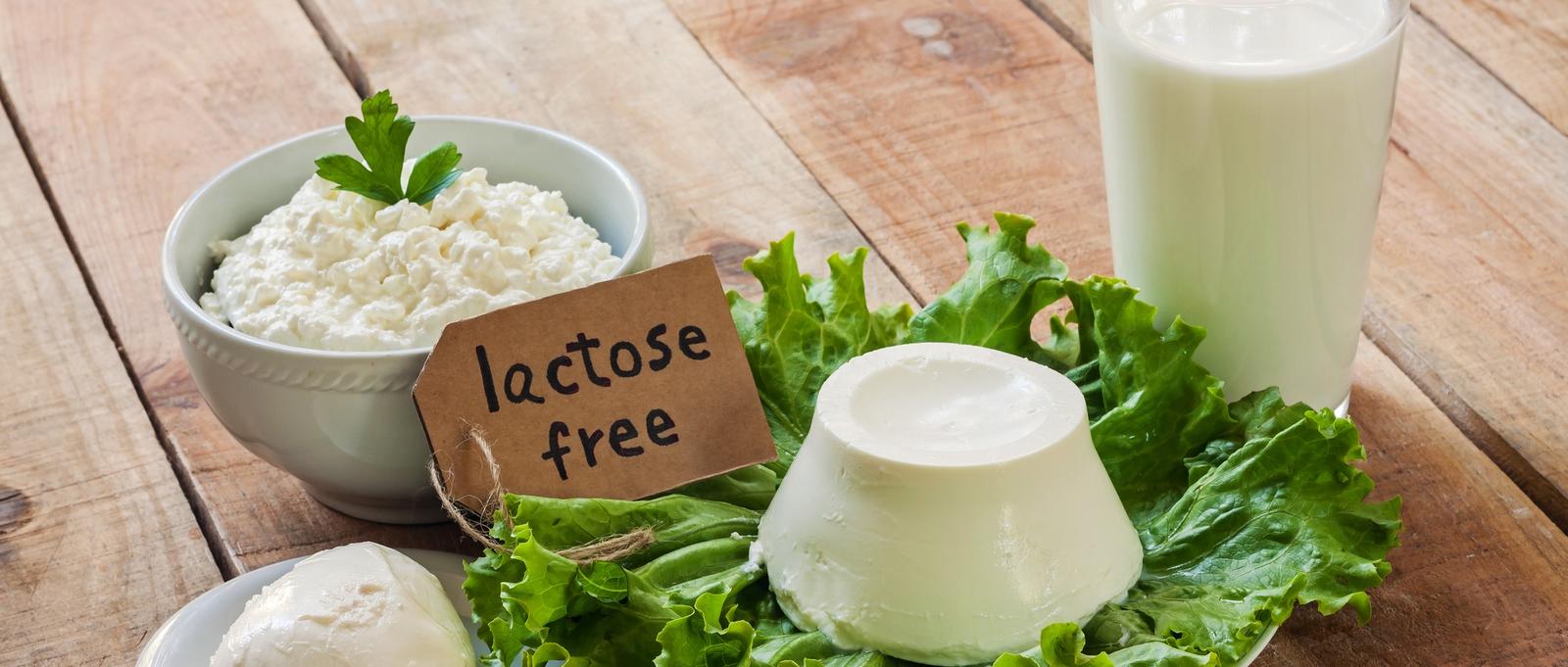 Lactose free food