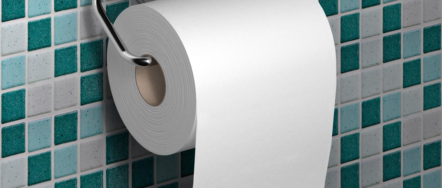 Toilet roll