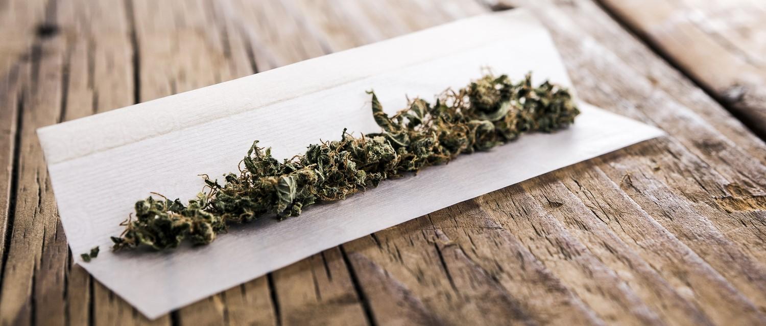 cannabis