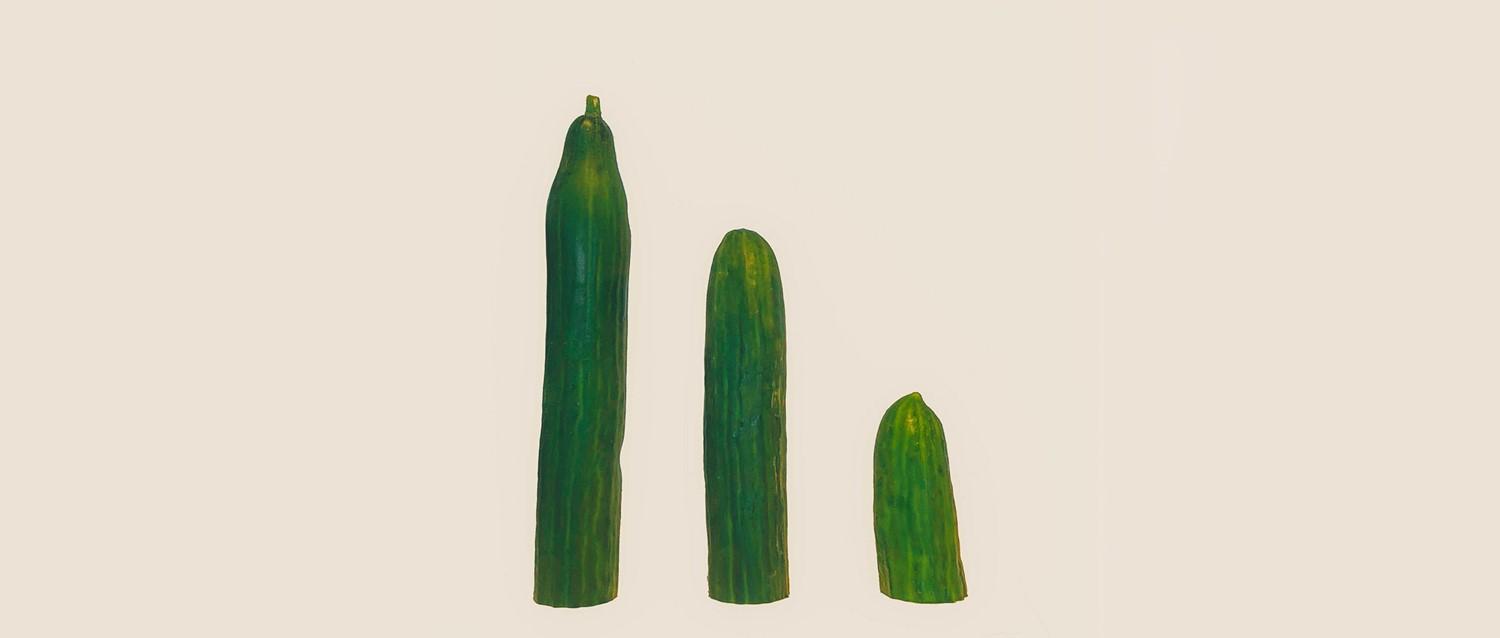 erection