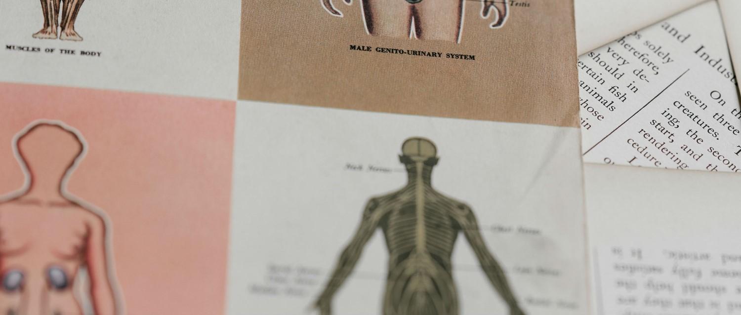 Featured article image