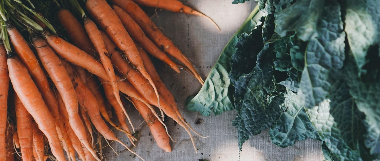 Fresh orange carrots with green tops alongside dark leafy kale on a light fabric surface.