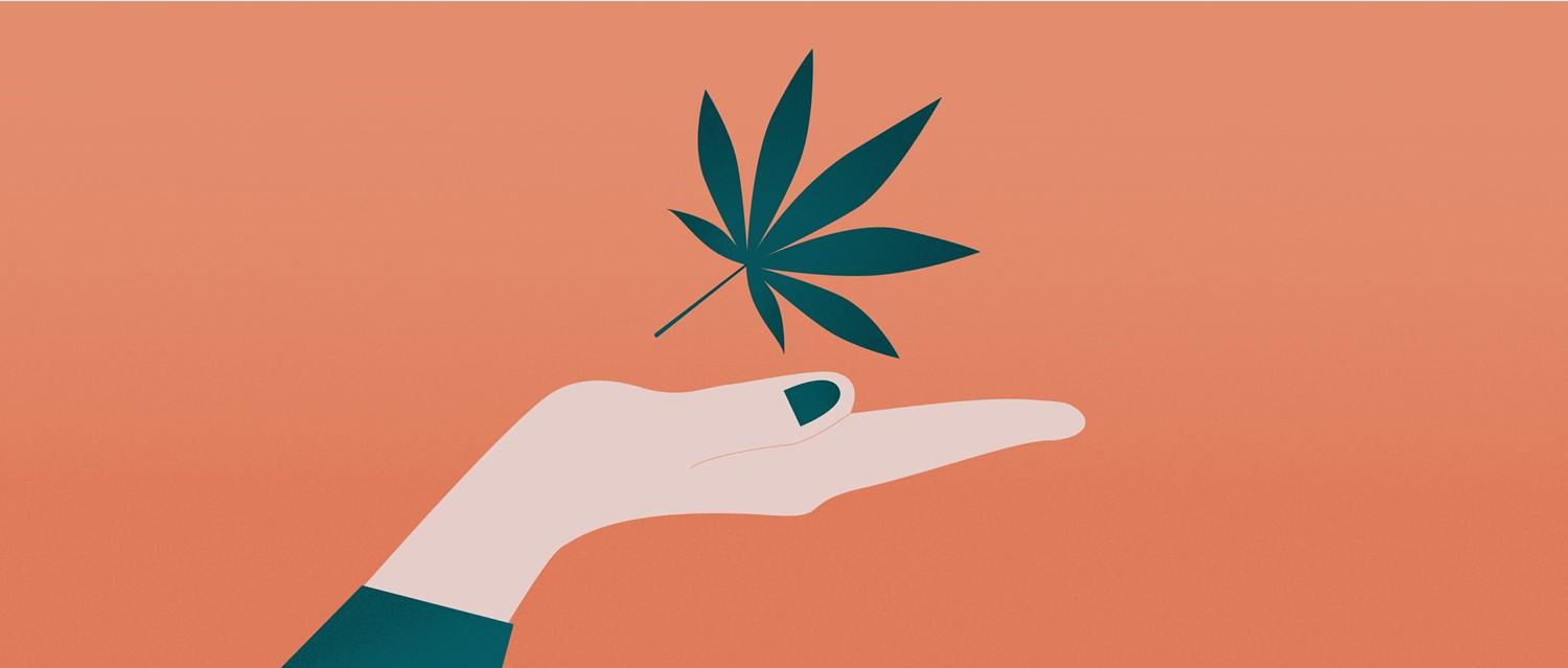 cbd oil