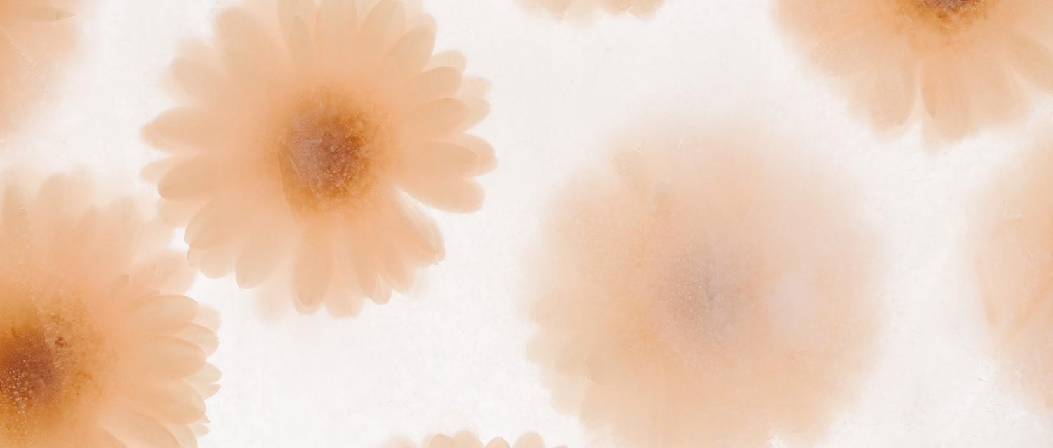 Featured article image