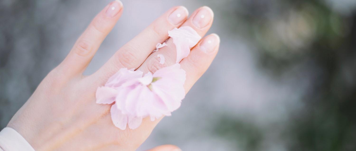 Featured article image