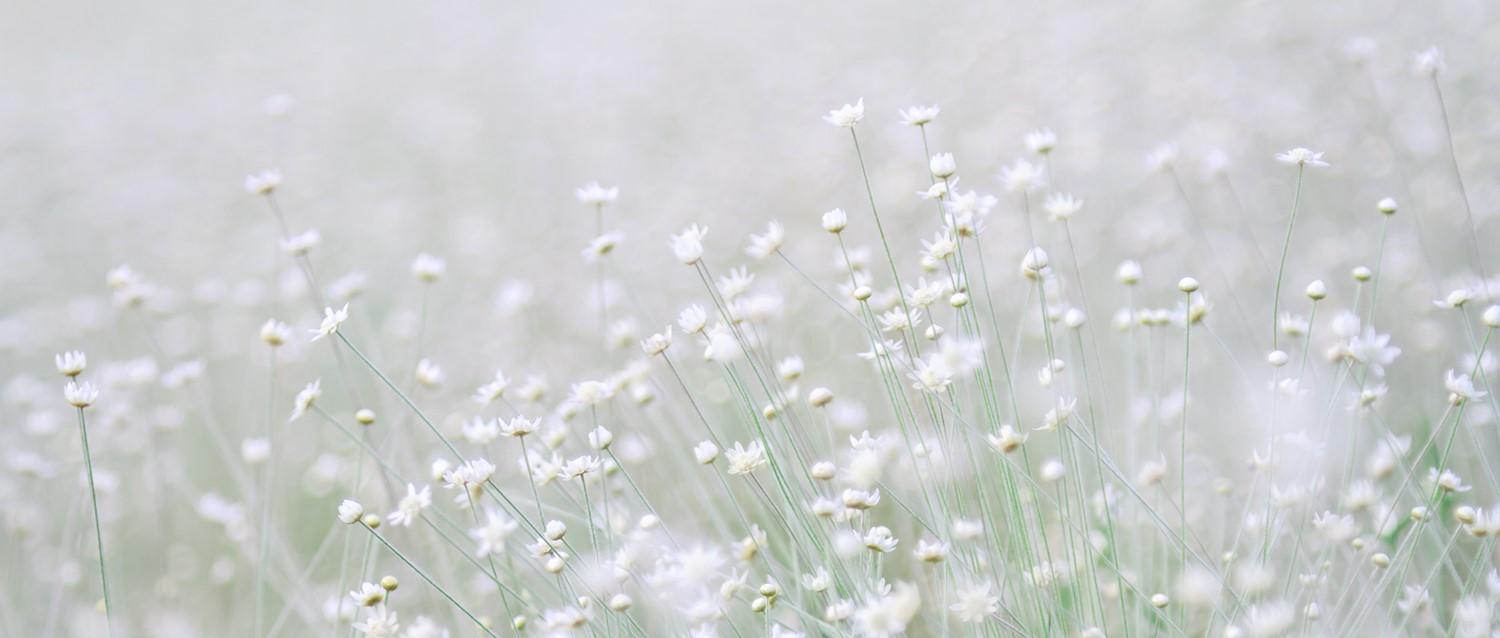 hay fever depression