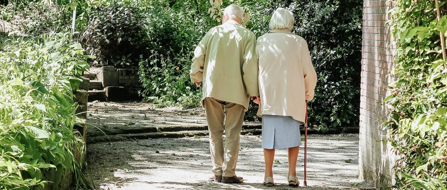 Featured article image