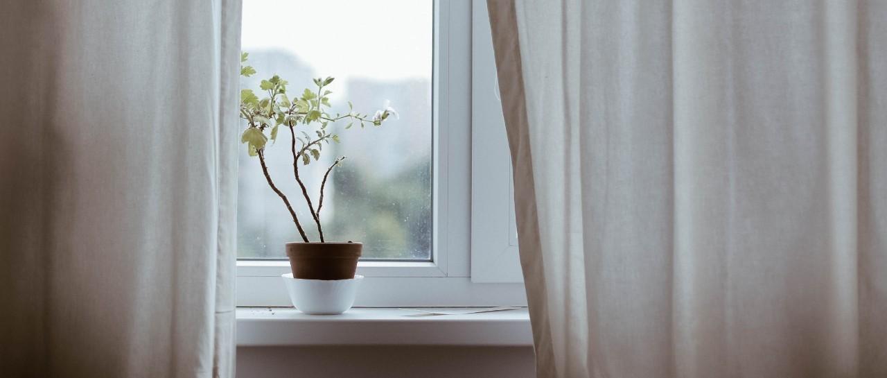 hospital window