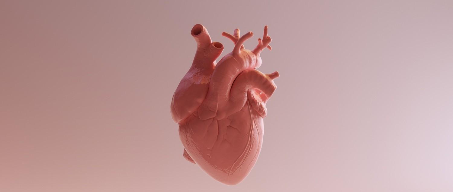 Families urged to talk about organ donation before a loved one dies