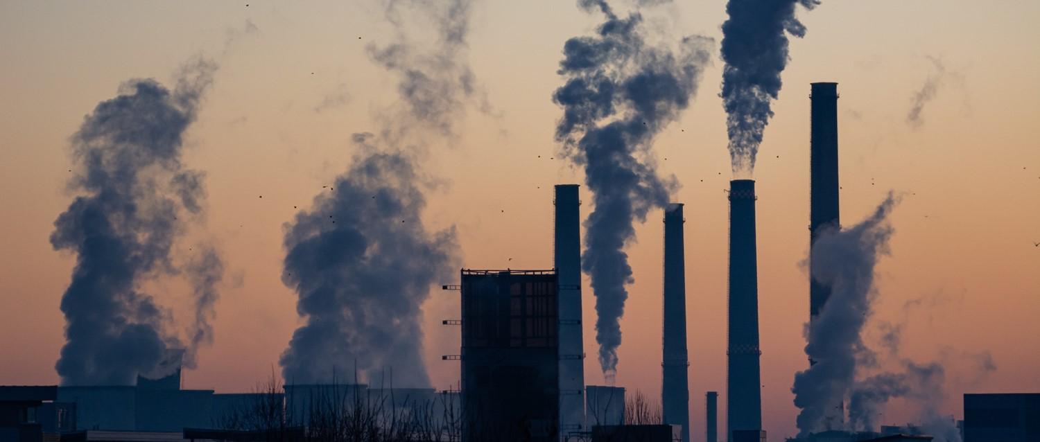 This is why air pollution is so bad for your lungs