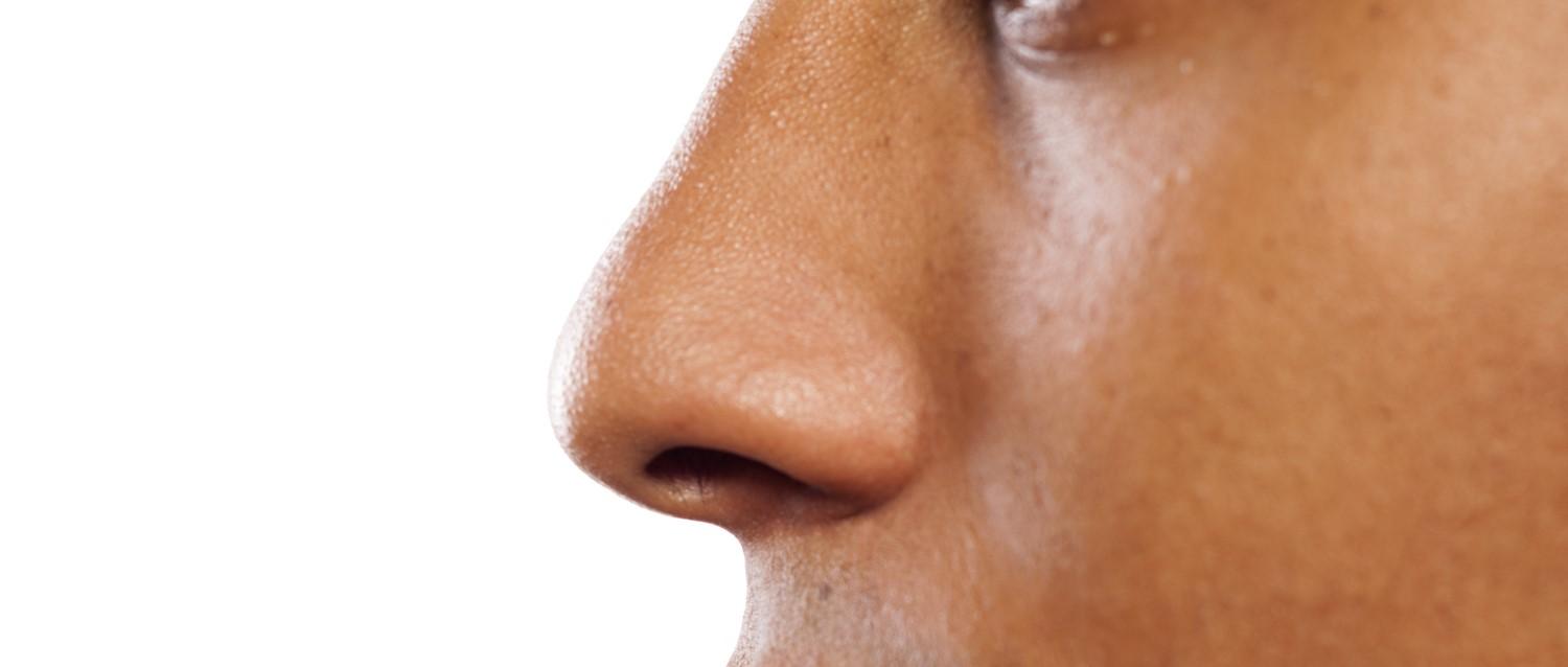 Featured article image