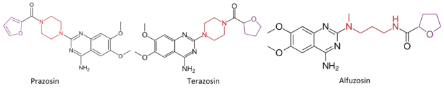 Featured article image