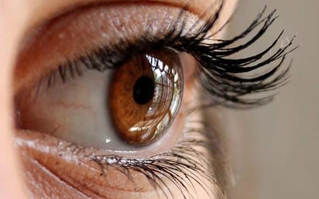 Featured article image