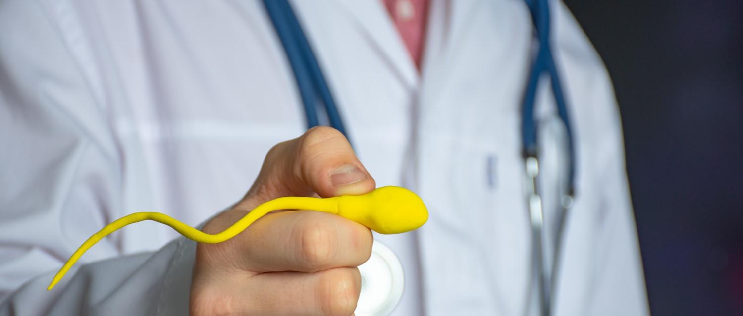 Featured article image