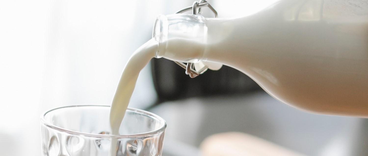 Cow’s milk