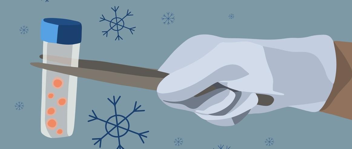 Featured article image
