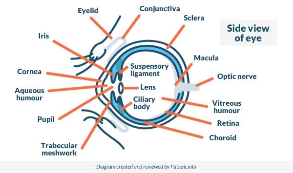 Vision Problems: Eye Problems, Types, Causes and Treatment